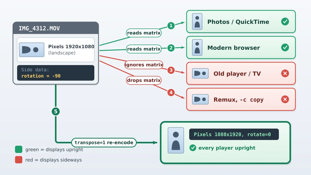 Diagram showing one MOV file with a rotation flag interpreted correctly by some players and ignored by others